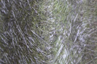 Drumoak fibreglass roof work